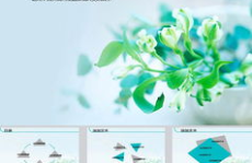 ppt模板下载,多样化风格与实用资源一网打尽