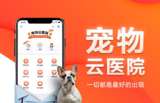 在线宠物咨询,在线宠物咨询的实用秘籍